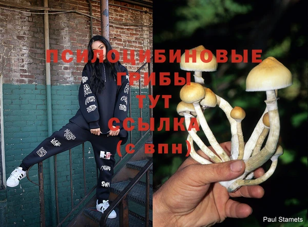 ECSTASY Протвино