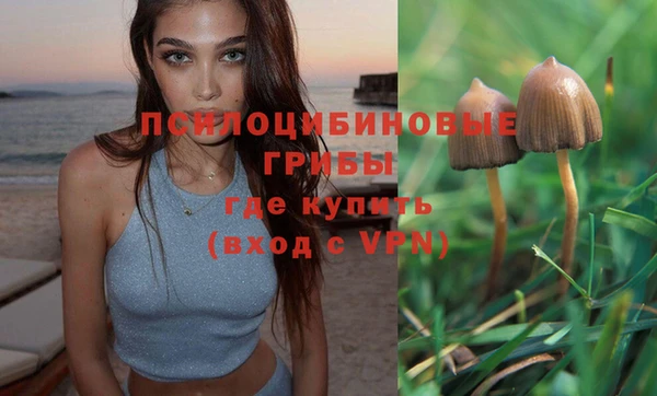 ECSTASY Протвино